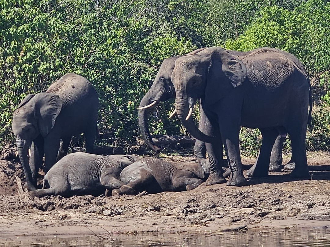 Njeri Africa Tours-Muizenberg必去景点