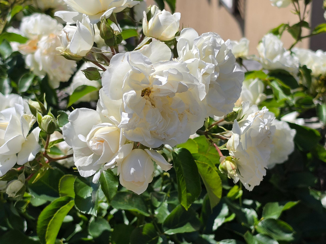Pieve di Santa Maria Assunta-Tignale必去景点