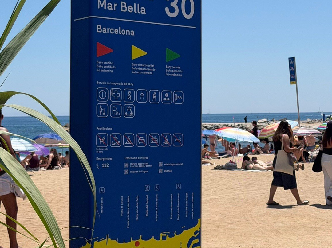 Platja De La Mar Bella-巴塞罗那必去景点