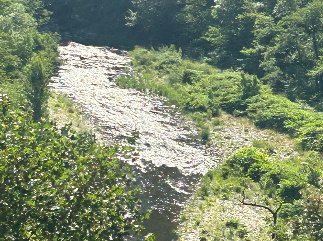 Train De L'Ardeche-图尔农必去景点