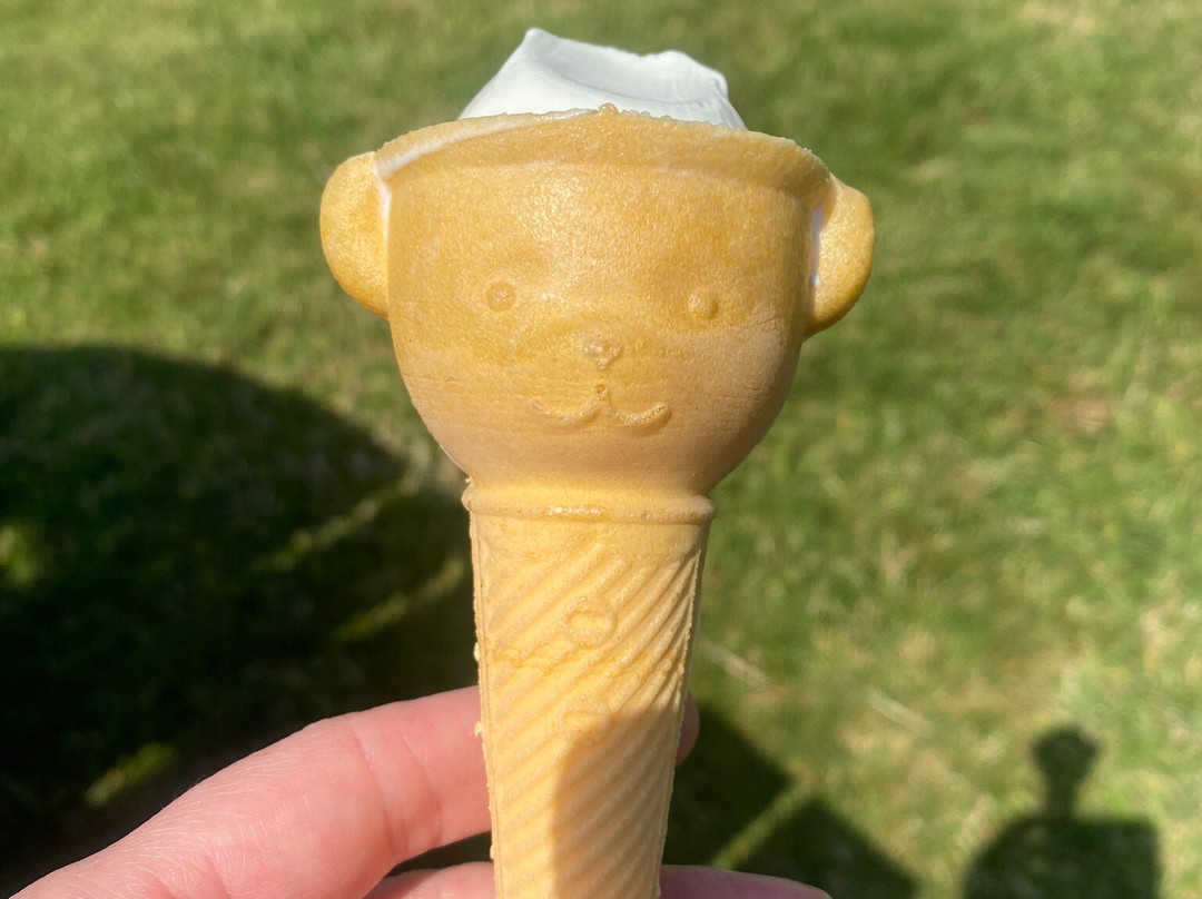 Holgates Ice Cream Shop & Cafe-Tywyn必去景点