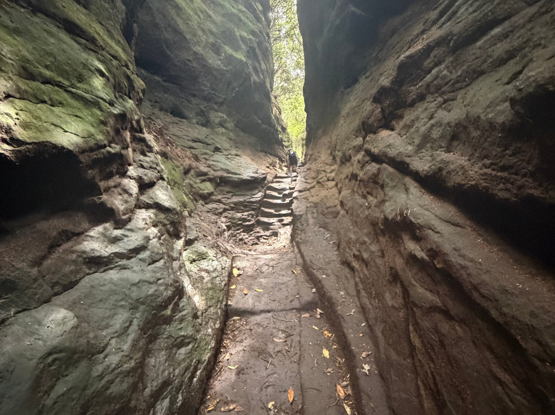 Hawkstone Park FOLLIES ADVENTURE-Weston-under-Redcastle必去景点