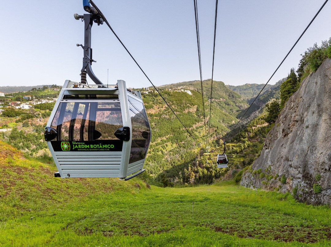 Botanical Garden Cable Car-沙尔必去景点