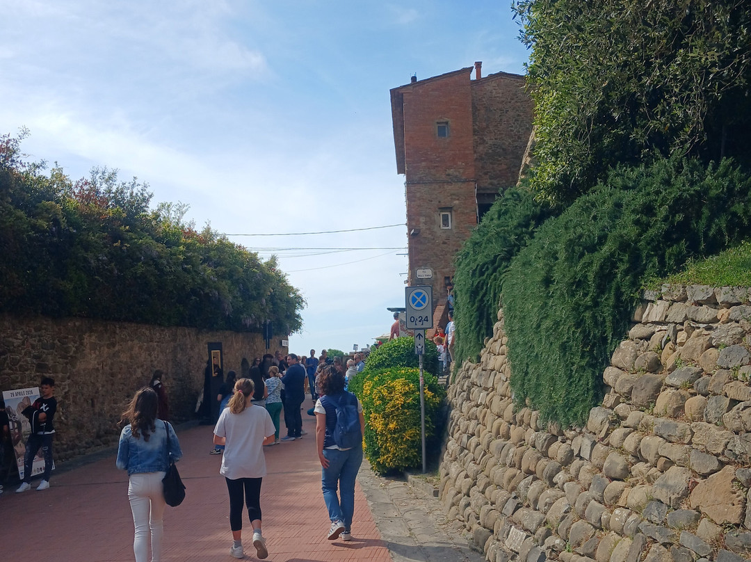 Castello Dei Conti Guidi-芬奇必去景点