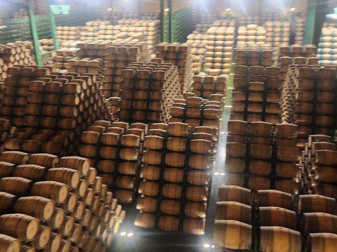 Bodegas LAN-Fuenmayor必去景点