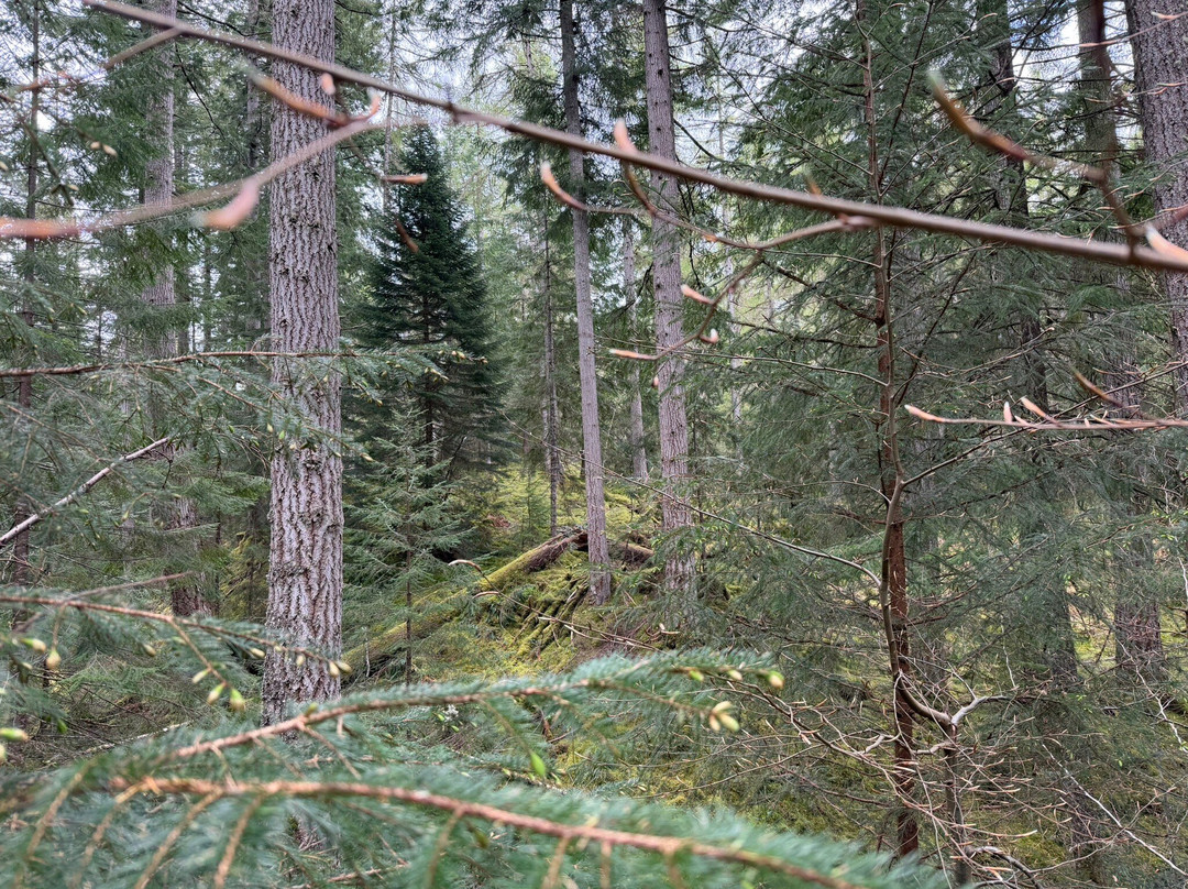 Glen Affric National Nature Reserve-Cannich必去景点
