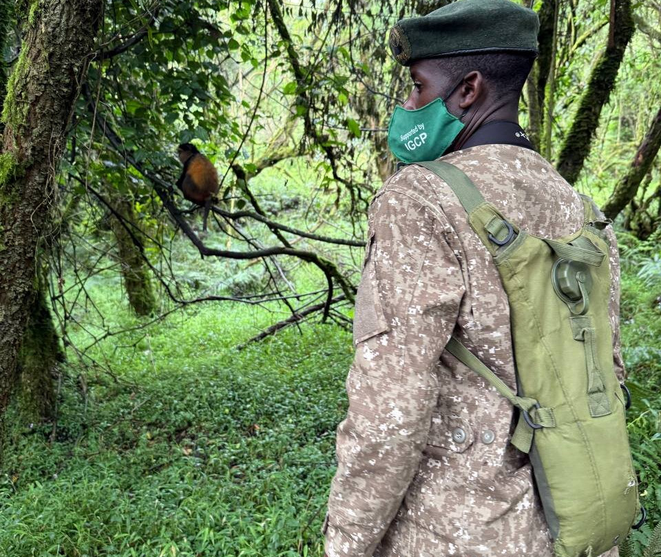Mgahinga Gorilla National Park-Kisoro必去景点