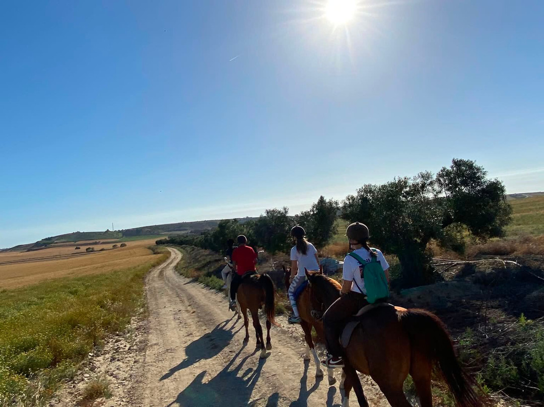 Al-Mesquid Stables-Sanlucar de Barrameda必去景点
