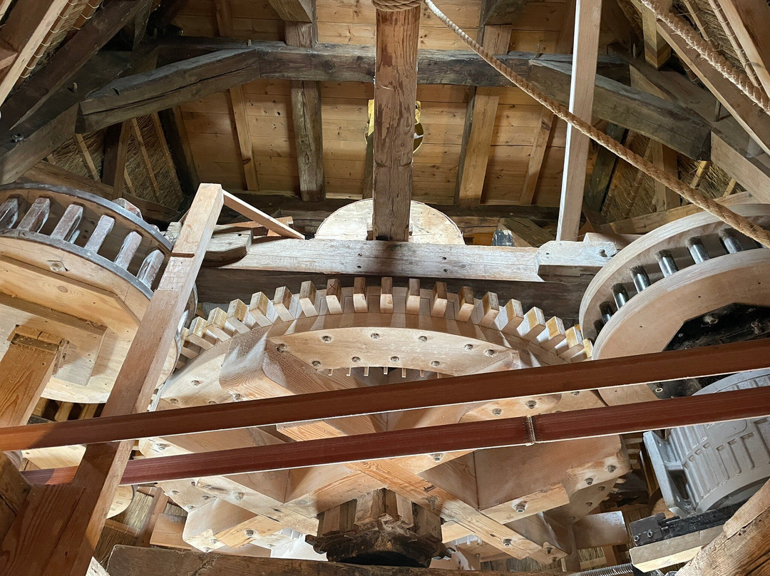 Koren- En Mosterdmolen de Verwachting-Hollum必去景点