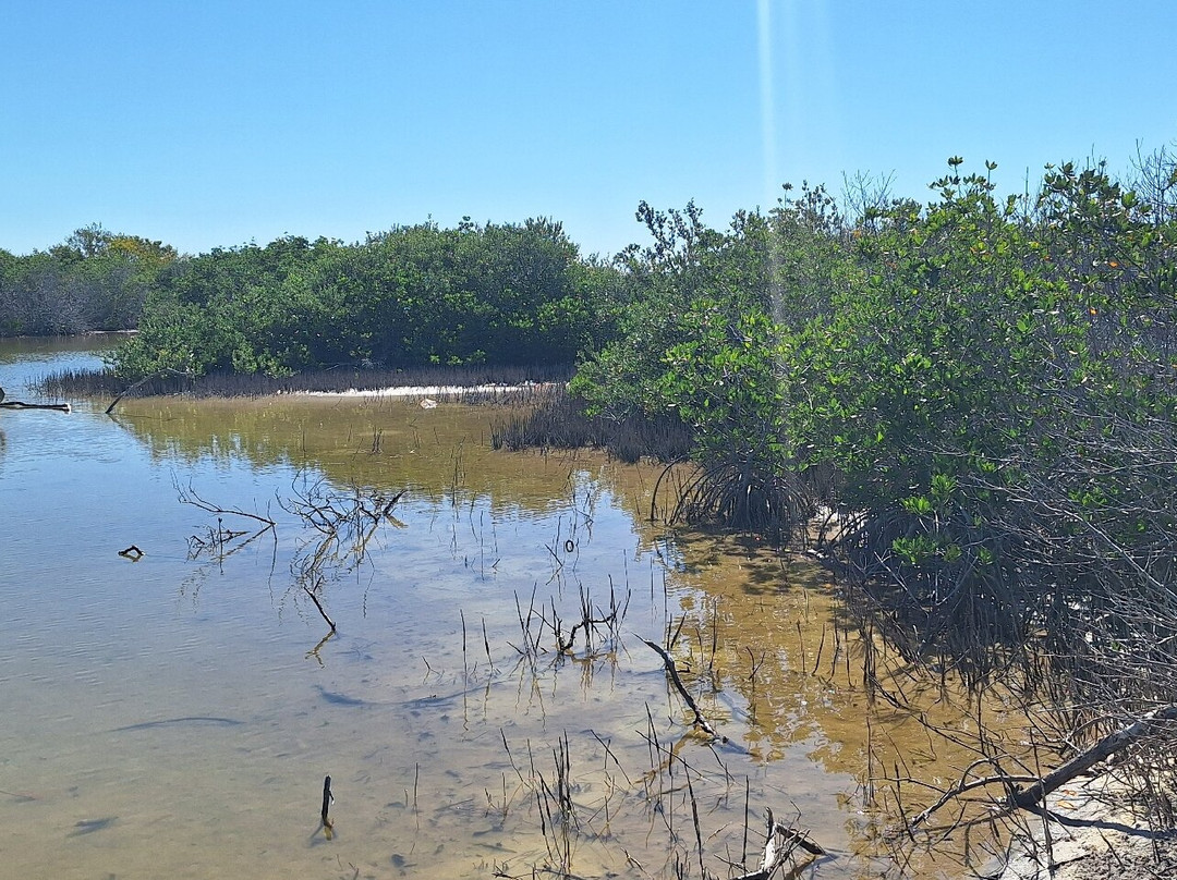 Honeymoon Island State Park-达尼丁必去景点