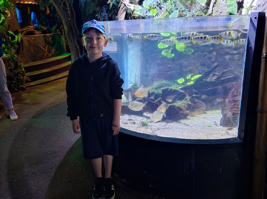 Sea Life Blankenberge-布朗肯堡必去景点