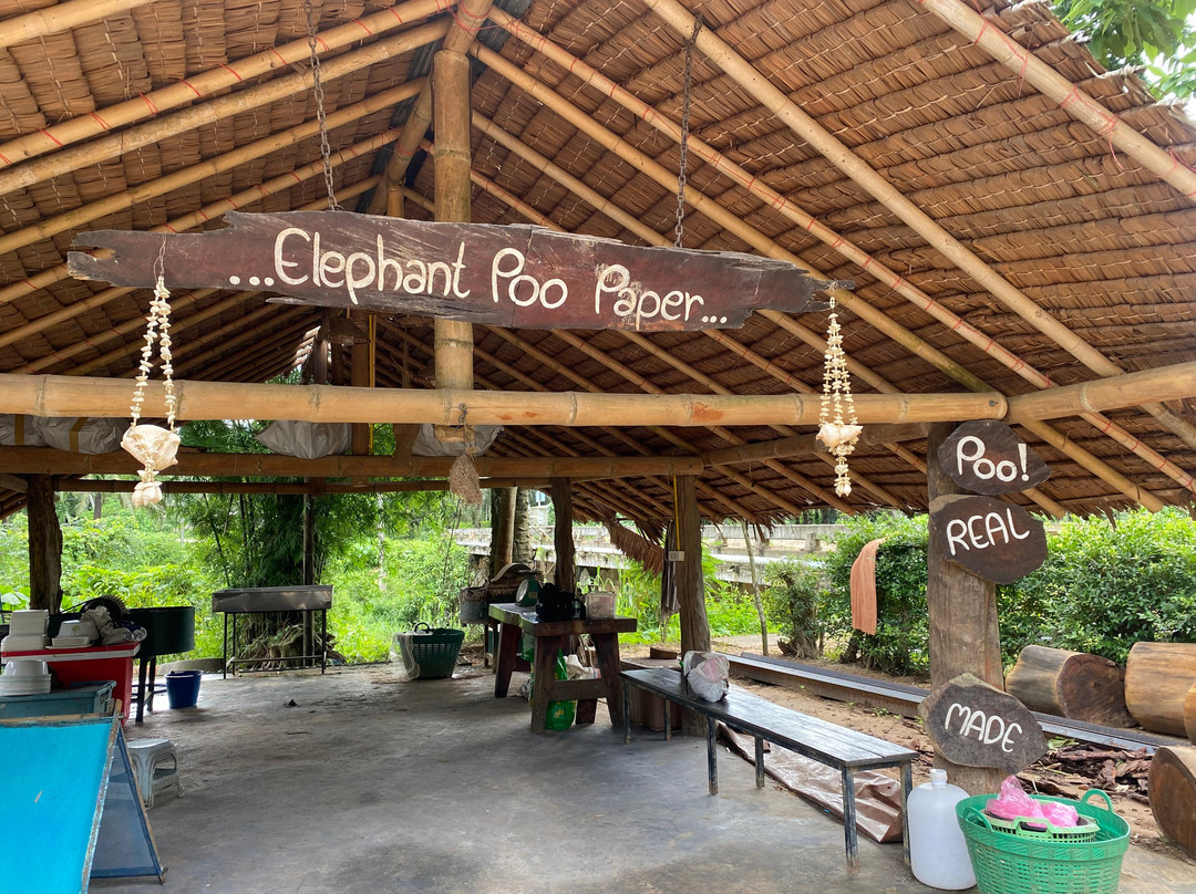 Krabi Elephant House Sanctuary-Sai Thai必去景点