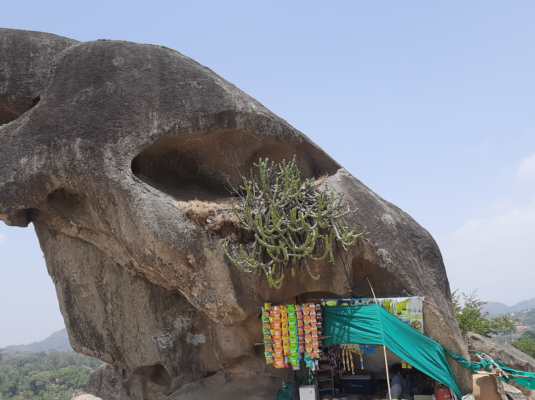 Toad Rock Mount Abu Rajesthan-阿布山必去景点