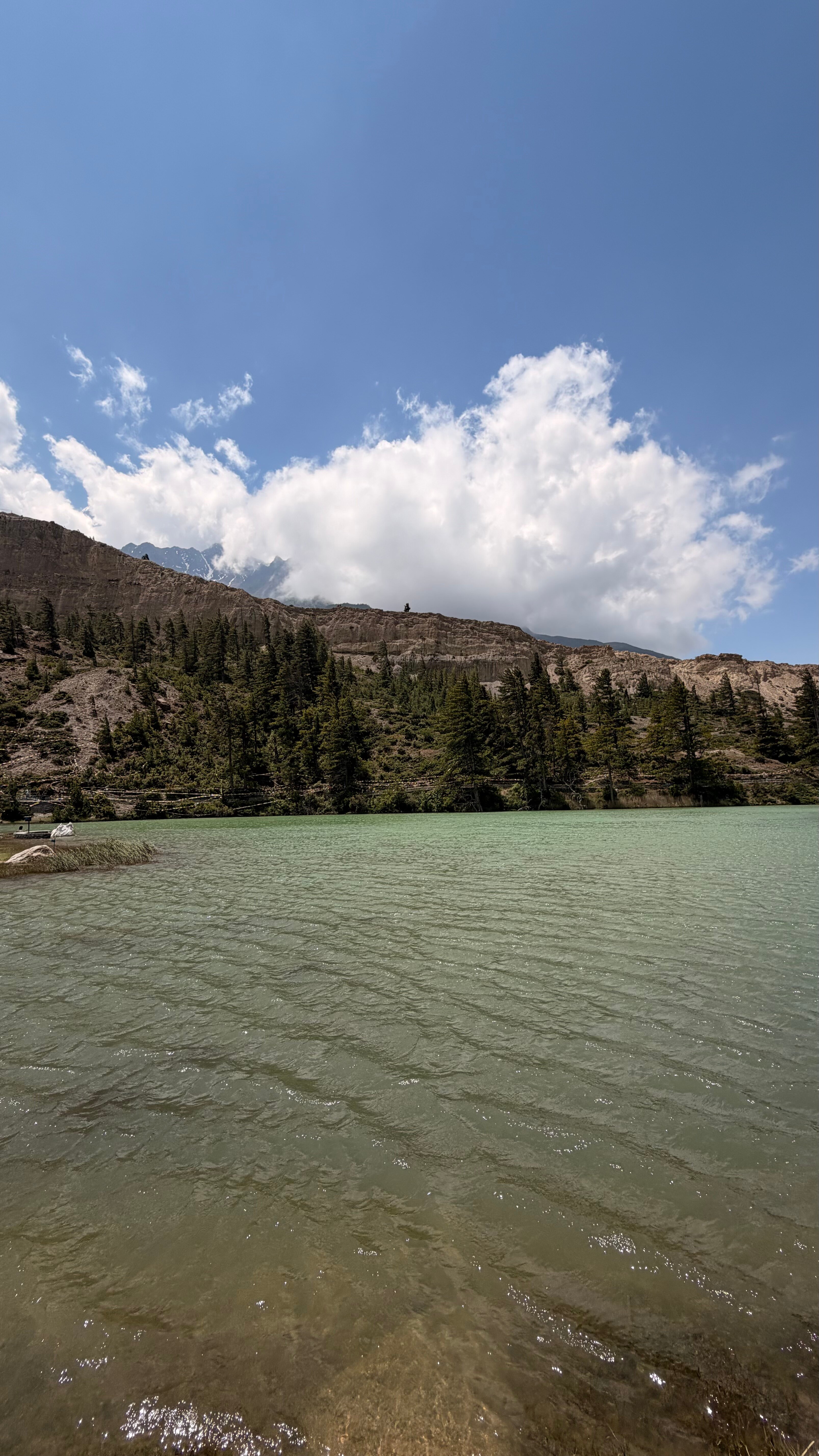 Shinta Mani Mustang-旅行者