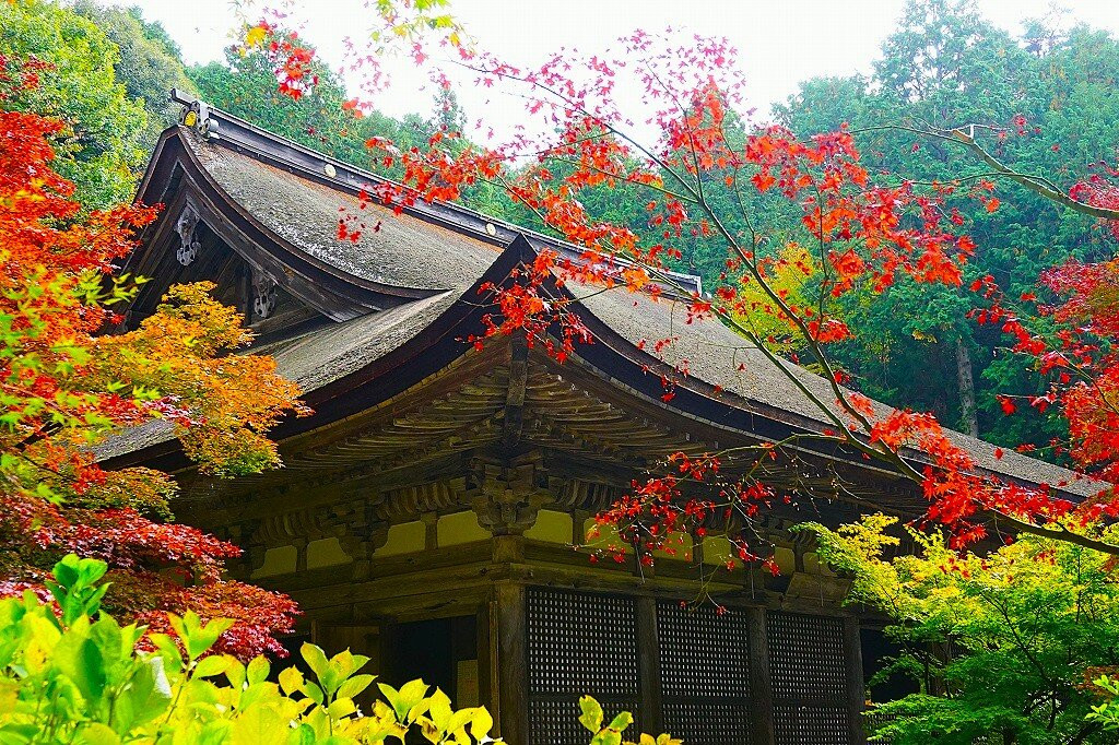 Kongorin-ji Temple-爱庄町必去景点