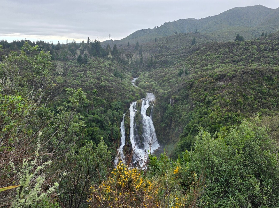 Waipunga Falls-怀卡托地区必去景点