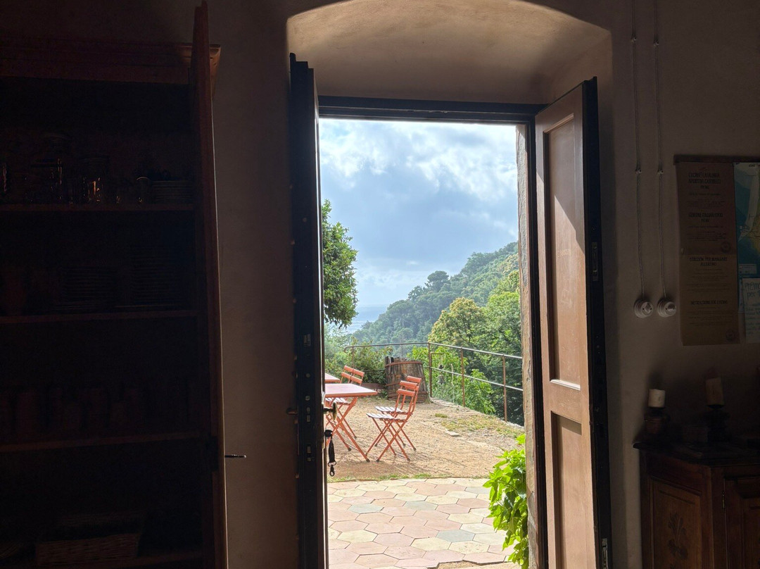 Eremo Sant'antonio-波托菲诺必去景点