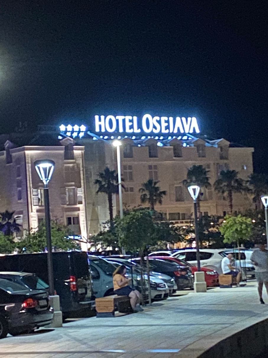 奥斯亚法酒店-旅行者