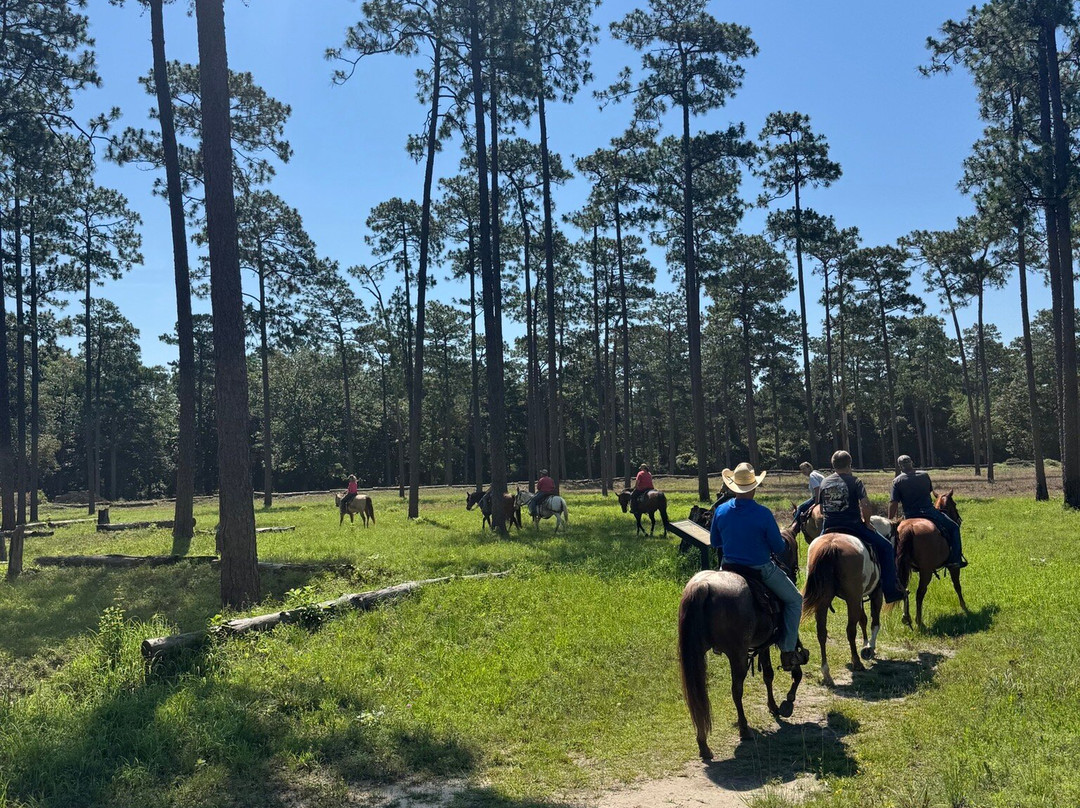 Historic Blakeley State Park-Spanish Fort必去景点