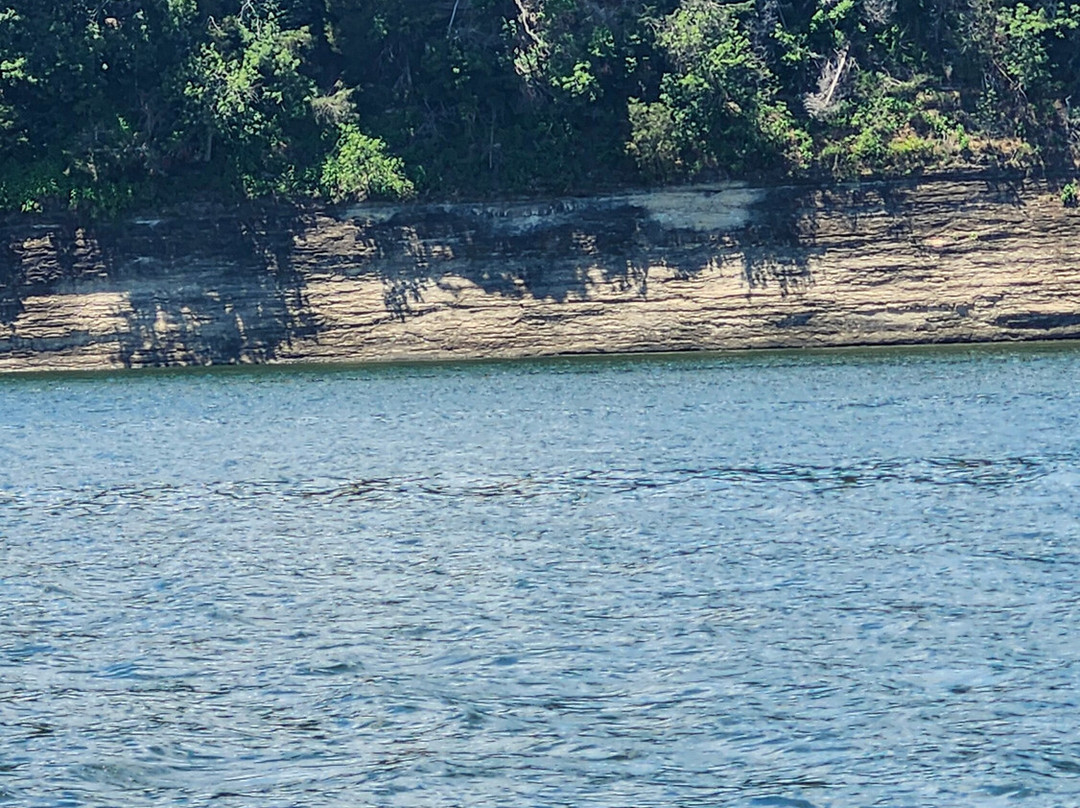 Holmes Bend Marina Cottages