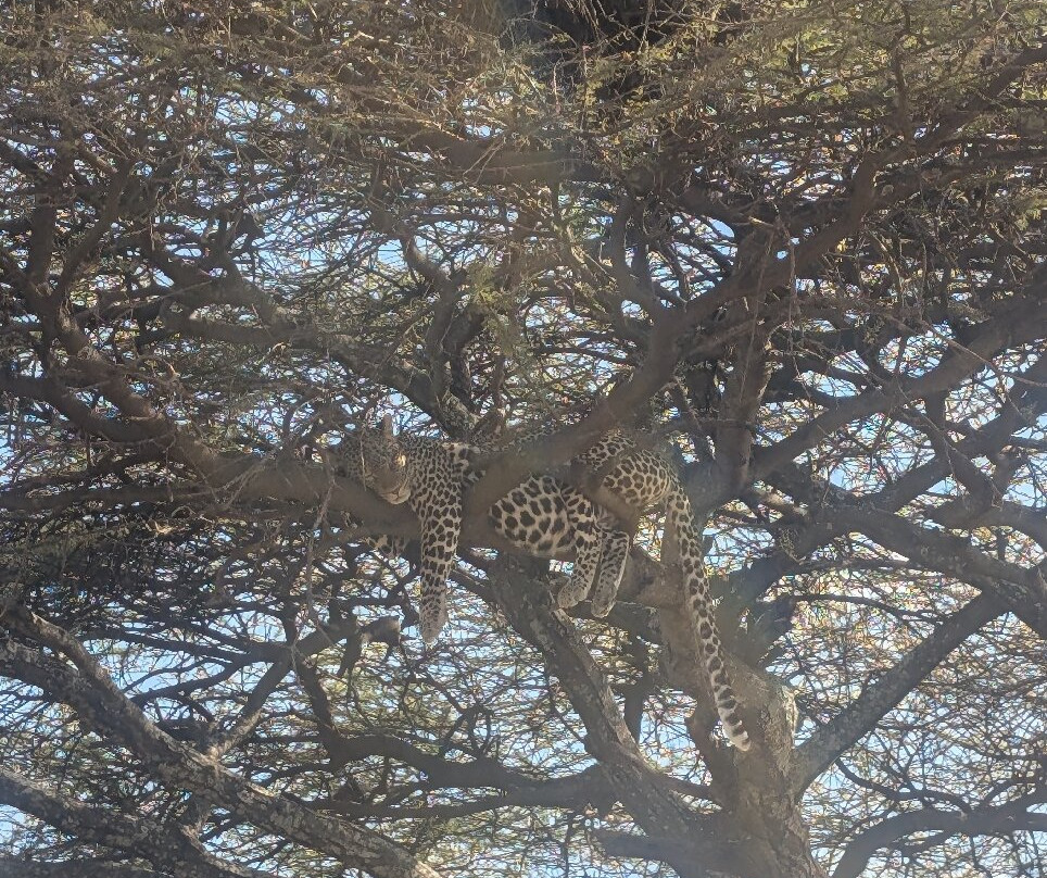 Wild Authentic Tanzania-阿鲁沙必去景点