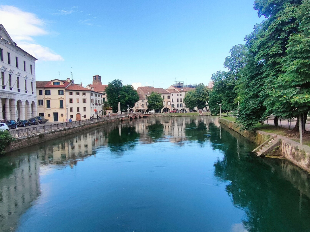 Ponte dell'Università-特雷维索必去景点