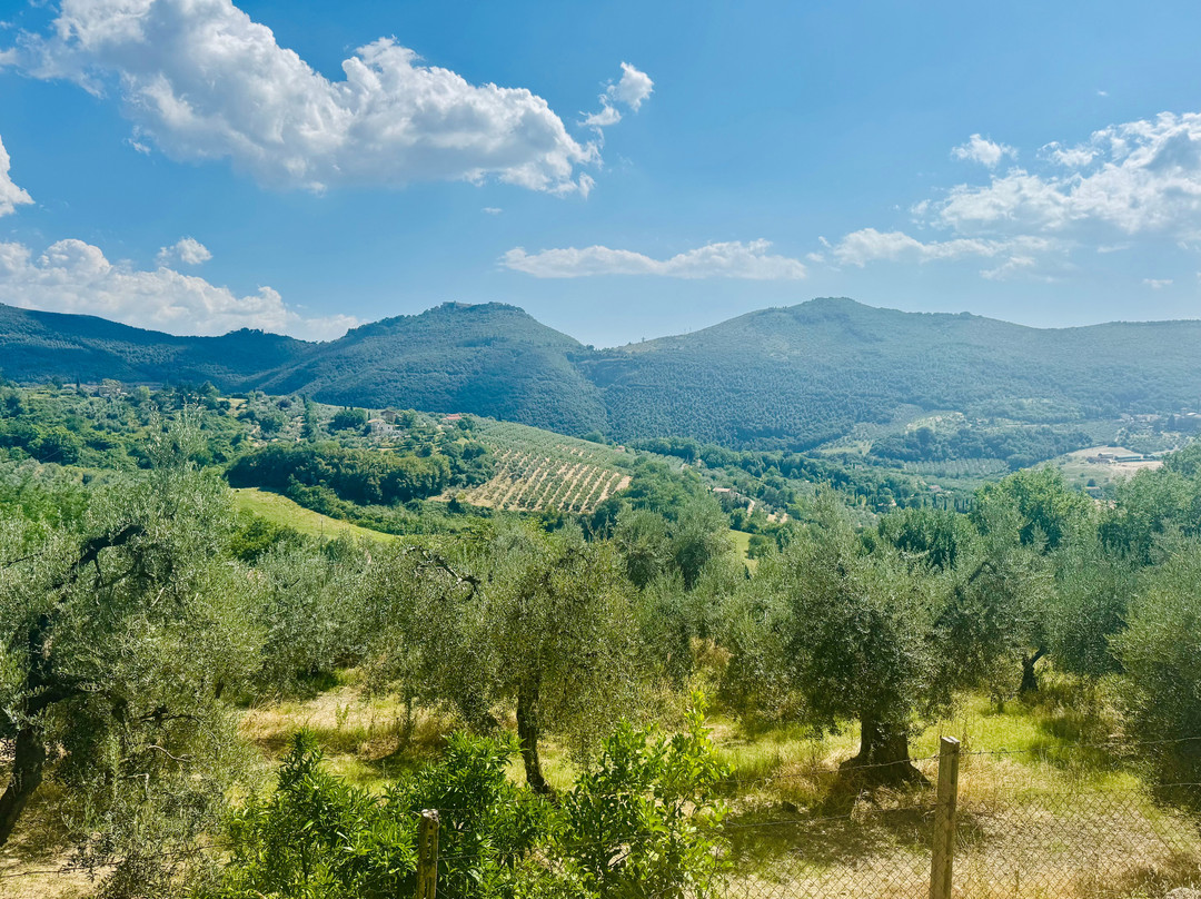ArtePiano International Festival & Competition-Castelnuovo di Farfa必去景点