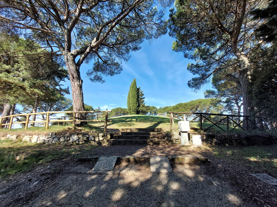 Tombe Etrusche a Montecalvario-卡斯特利纳－因基安蒂必去景点
