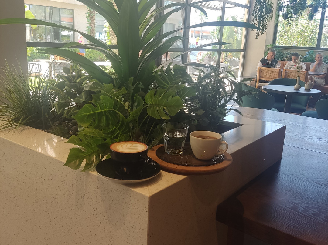 科尔曼西德拉豪华水疗酒店主图
