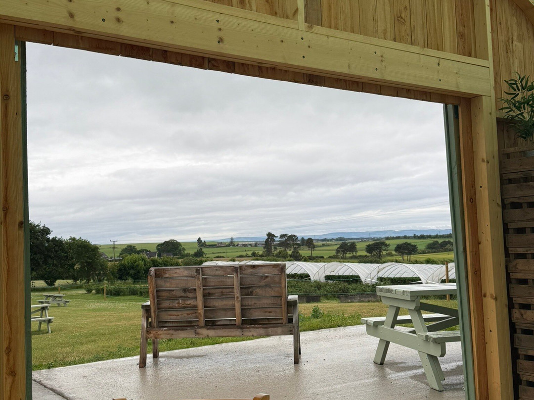 Wester Hardmuir Fruit Farm-奈恩必去景点
