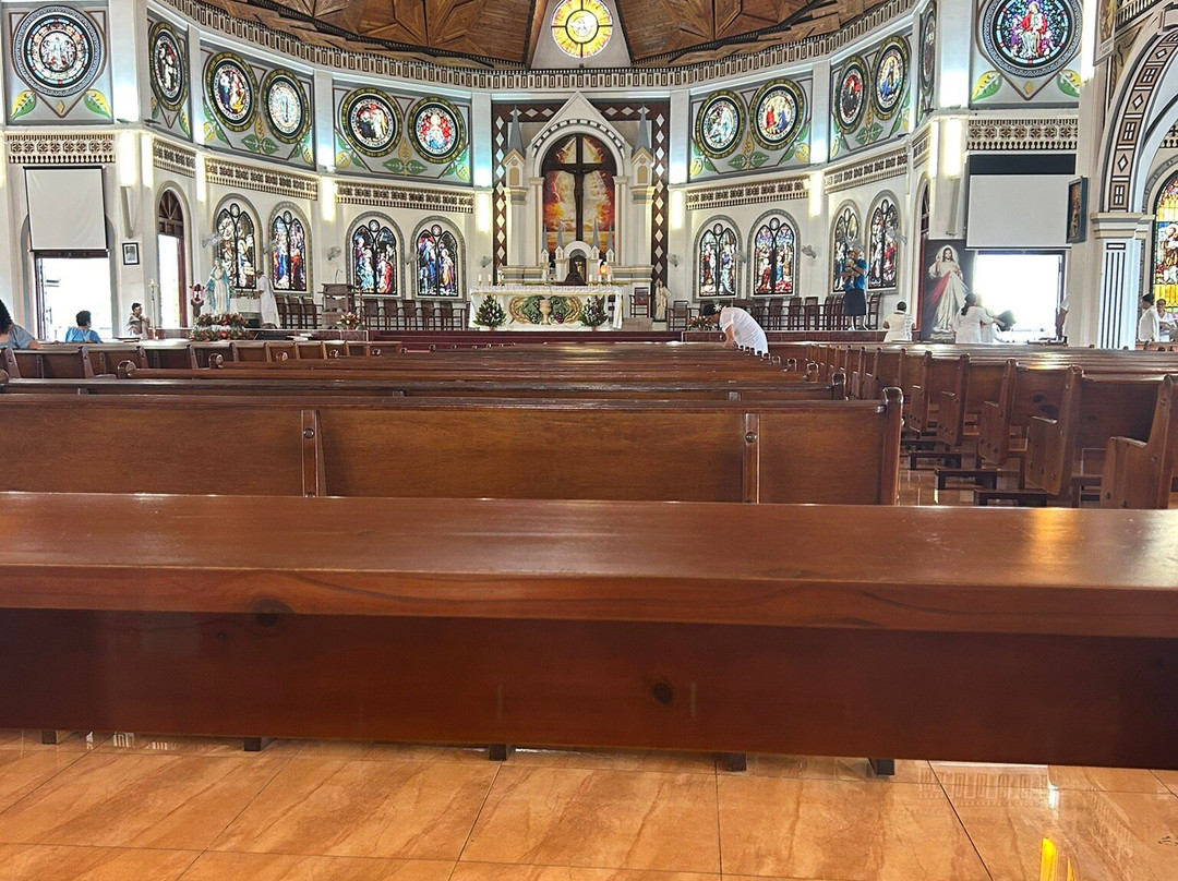 Immaculate Conception Cathedral-阿皮亚必去景点