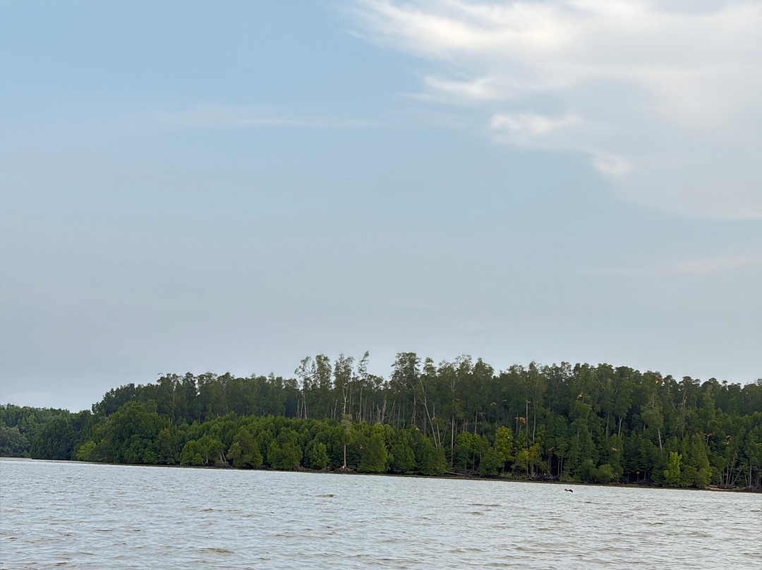 Matang Mangrove Forest Reserve-Kuala Sepetang必去景点