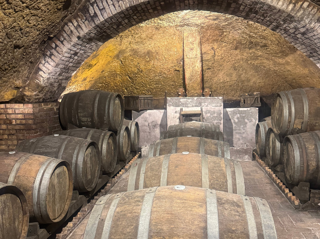 Cantine del Notaio-Rionero in Vulture必去景点