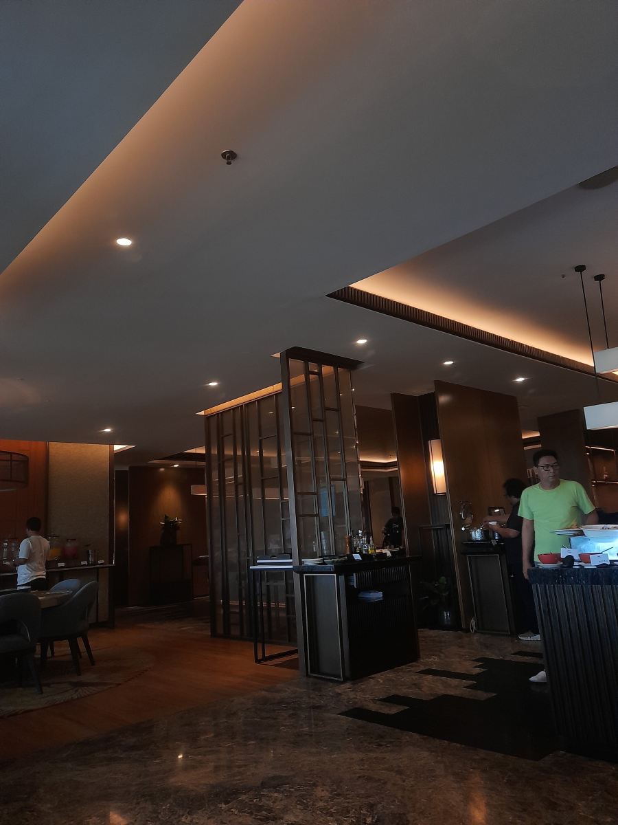 楠榜科达顿丽笙酒店-旅行者