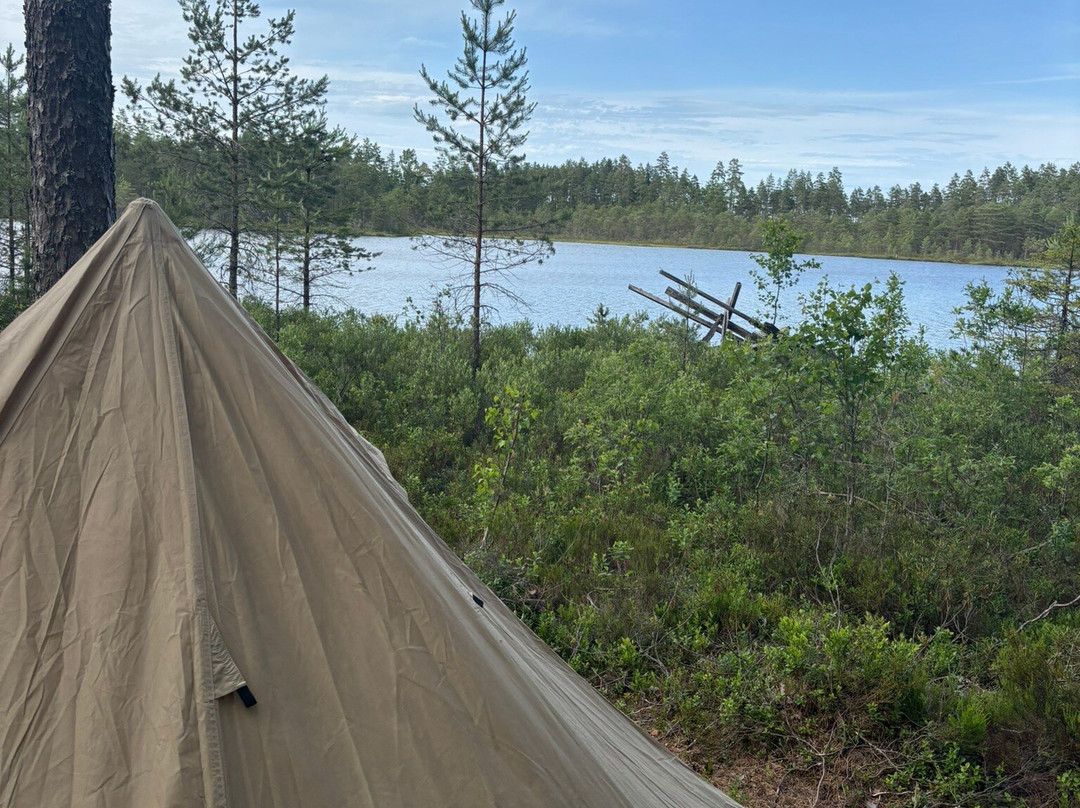 Wild Sweden-Skinnskatteberg必去景点