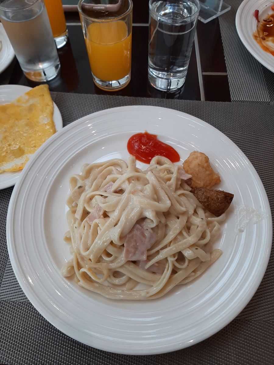 棉兰阿雅度塔酒店-旅行者