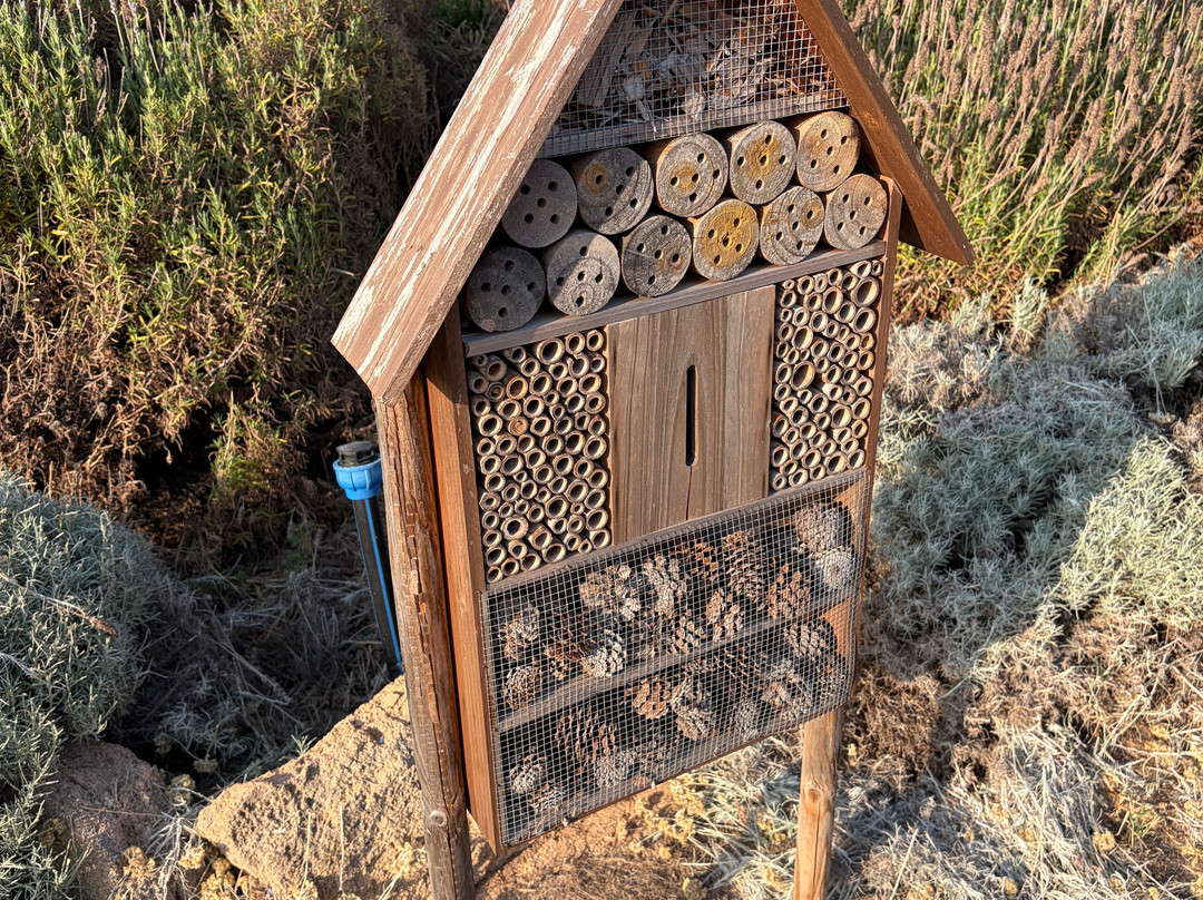 Bee Garden Alghero-阿尔盖罗必去景点