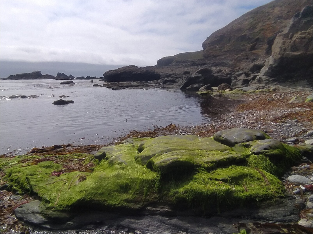 Lizard Point-Lizard必去景点