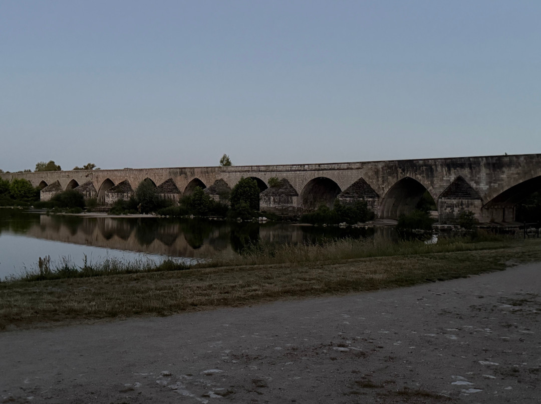 Pont de Beaugency-Beaugency必去景点