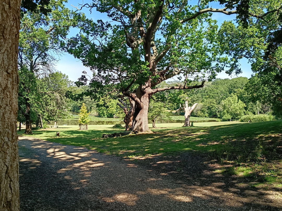 Staunton Country Park-Havant必去景点
