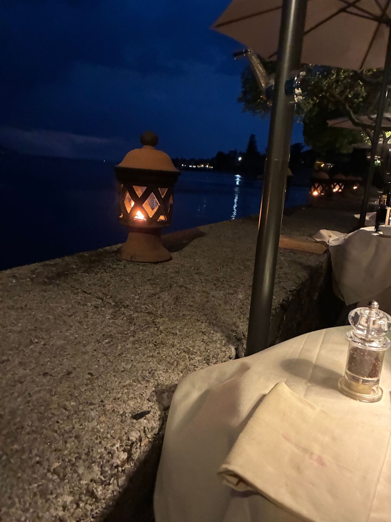 Hotel Gardenia Al Lago-旅行者