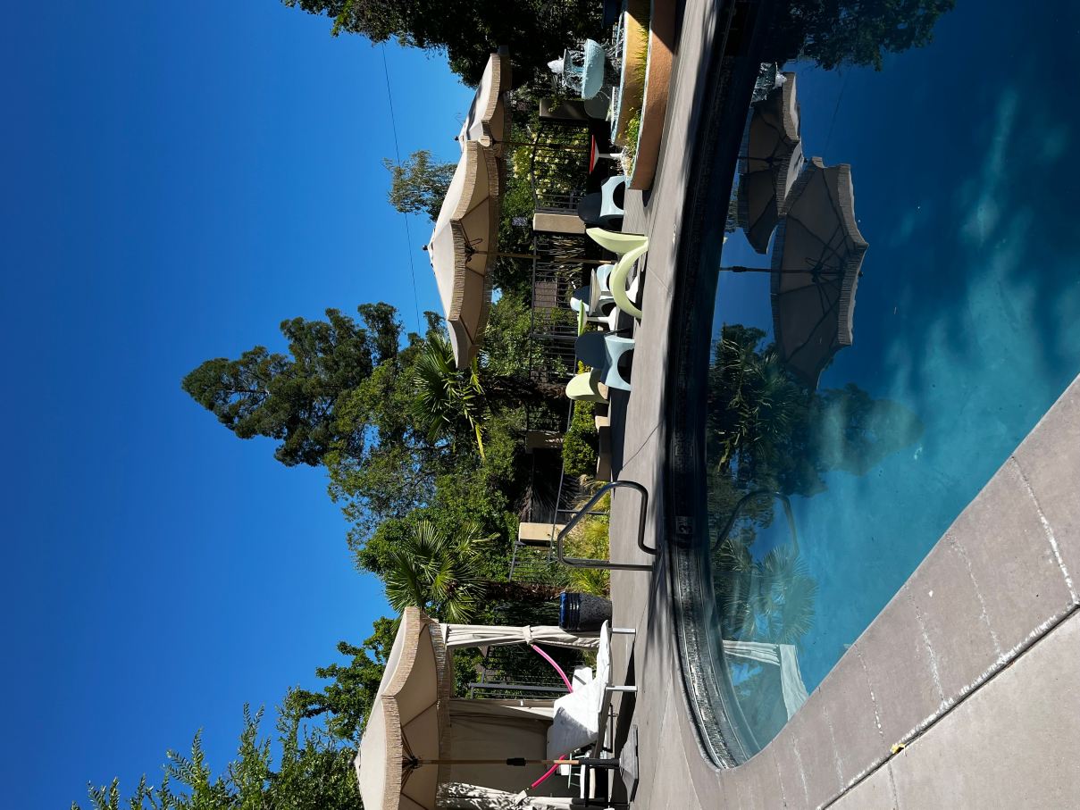 棕榈小屋酒店-旅行者