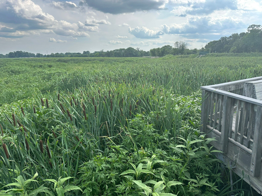 John Heinz National Wildlife Refuge at Tinicum-费城必去景点