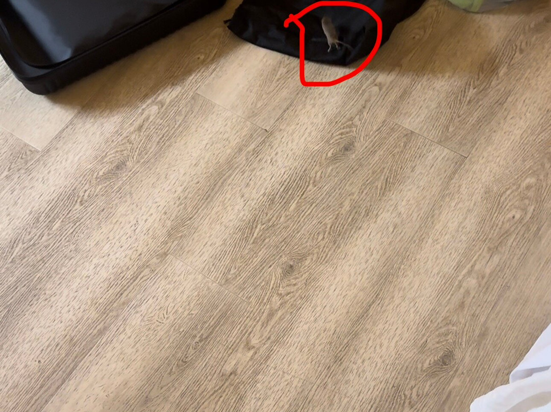 汉迪亚宫酒店主图