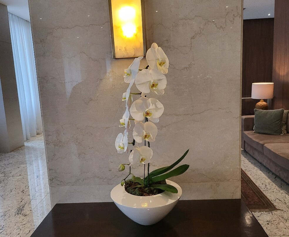 温莎广场巴西利亚酒店主图