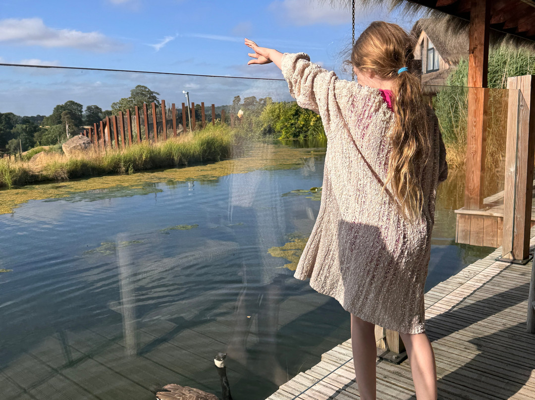 Safari Lodges At West Midlands Safari Park主图