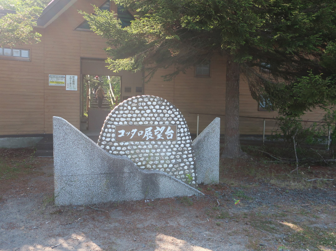 Kottaro Swamp Observatory-标茶町必去景点