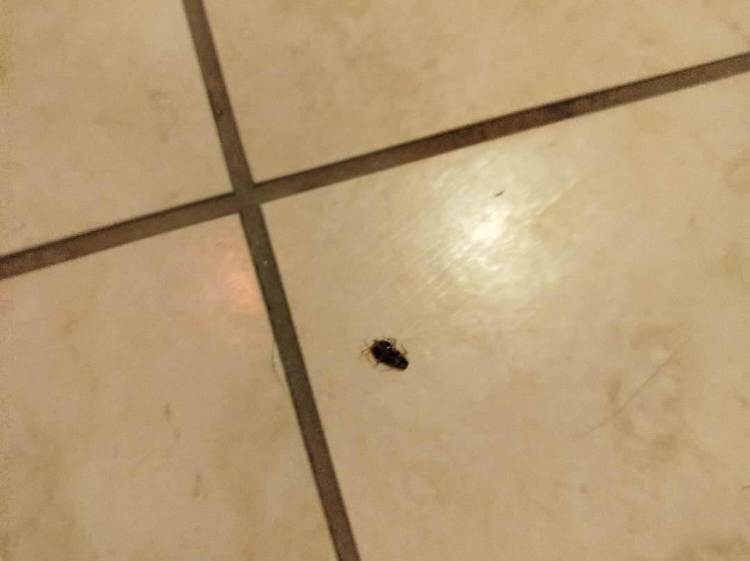 昆斯勒瑞欧蒂斯酒店主图