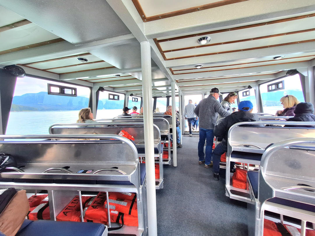 Juneau Tours & Whale Watch-朱诺必去景点