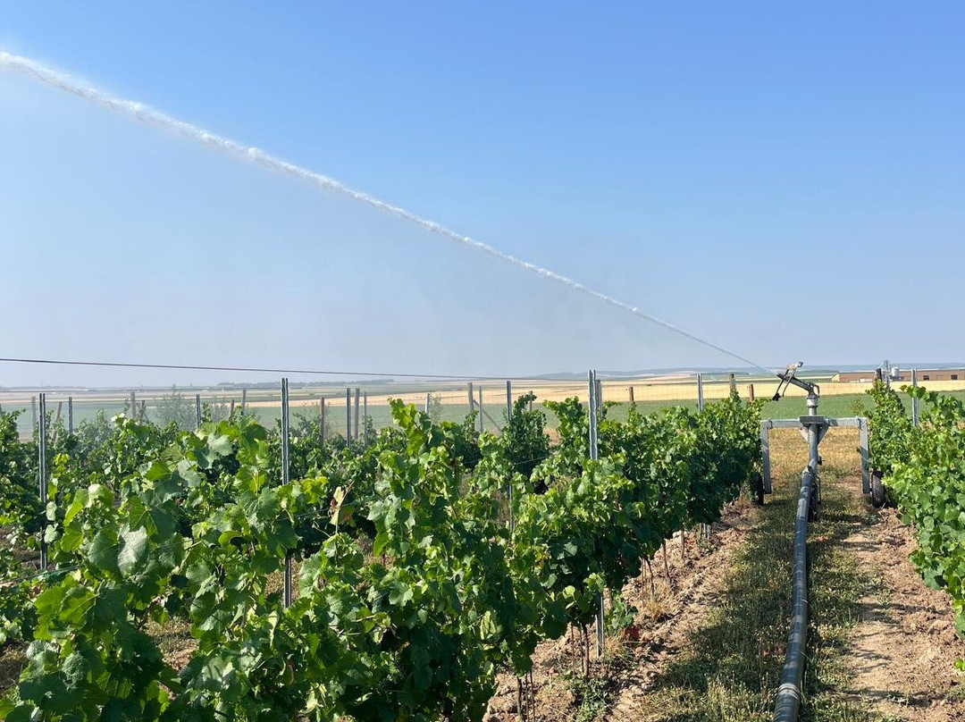 Domaine APRONIE-Marigny-le-Chatel必去景点
